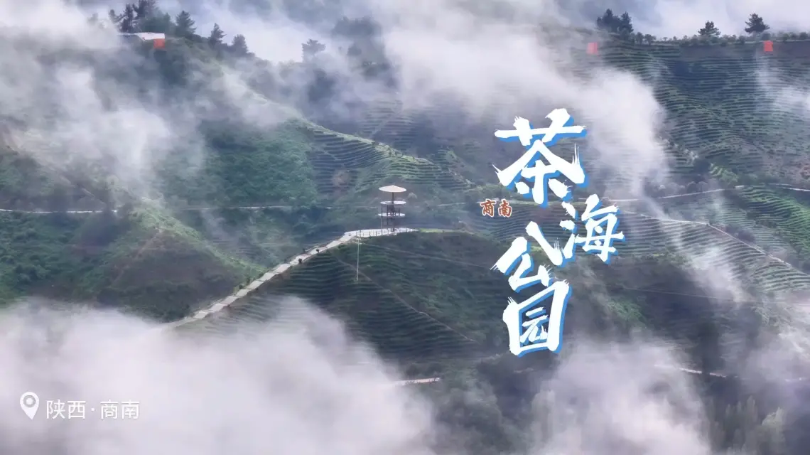 【飞阅陕西】云雾缭绕的商南县富水茶海公园