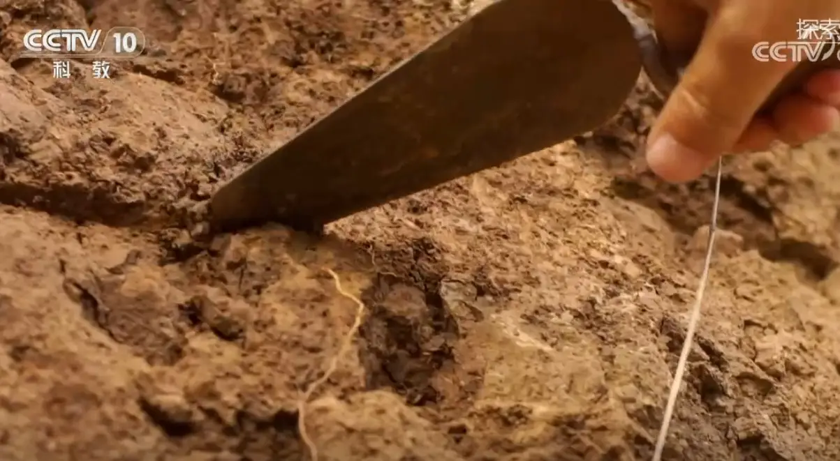 汉文帝霸陵邑在哪里？专家推测或在灞桥区江村一带