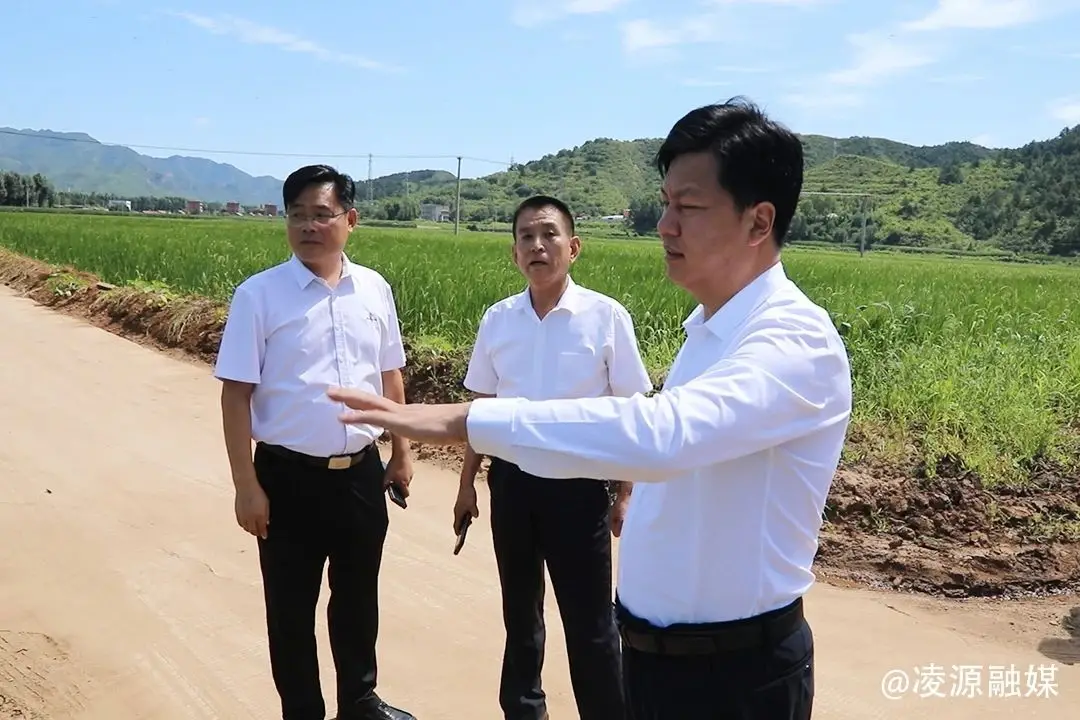 凌源市委书记安海江到杨杖子镇和松岭子镇调研当前重点工作