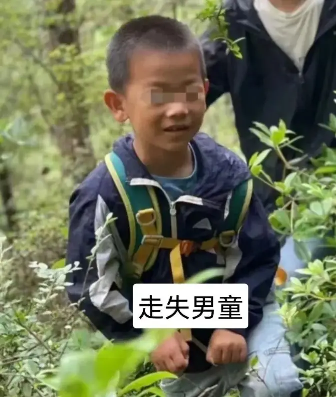 大理苍山走失的8岁男童，已不幸离世