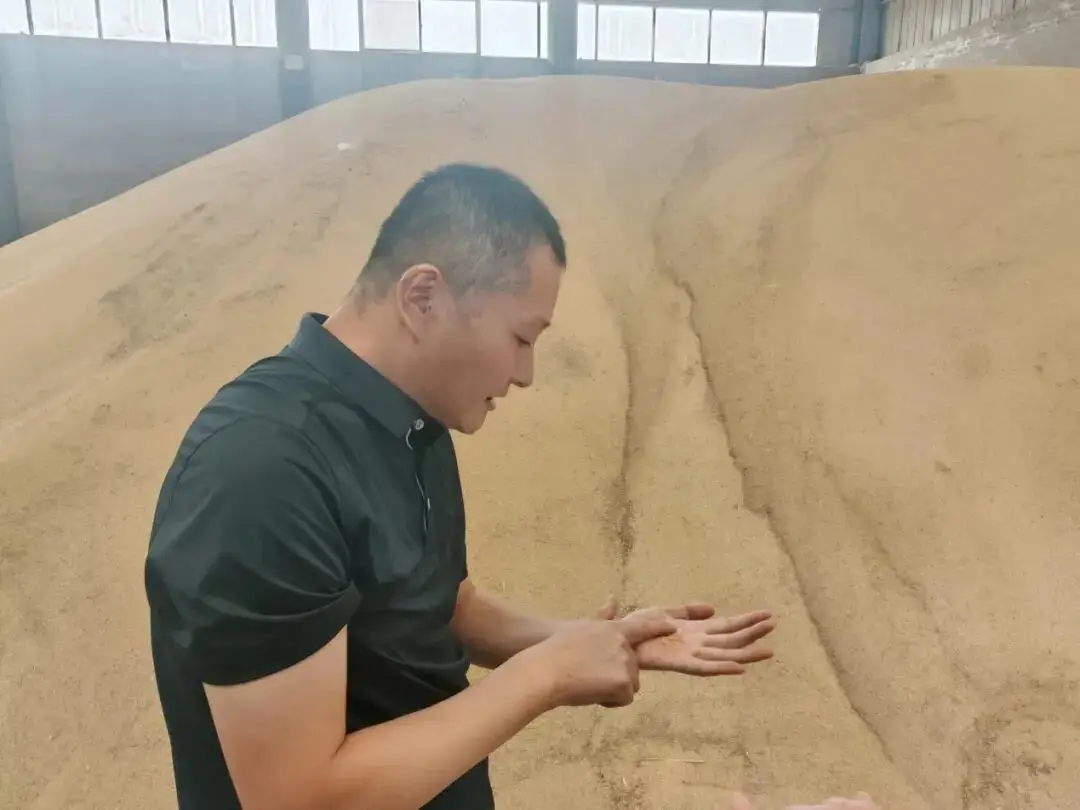 17580940115869075.jpg 微信图片_2025-09-17_152642_565.jpg