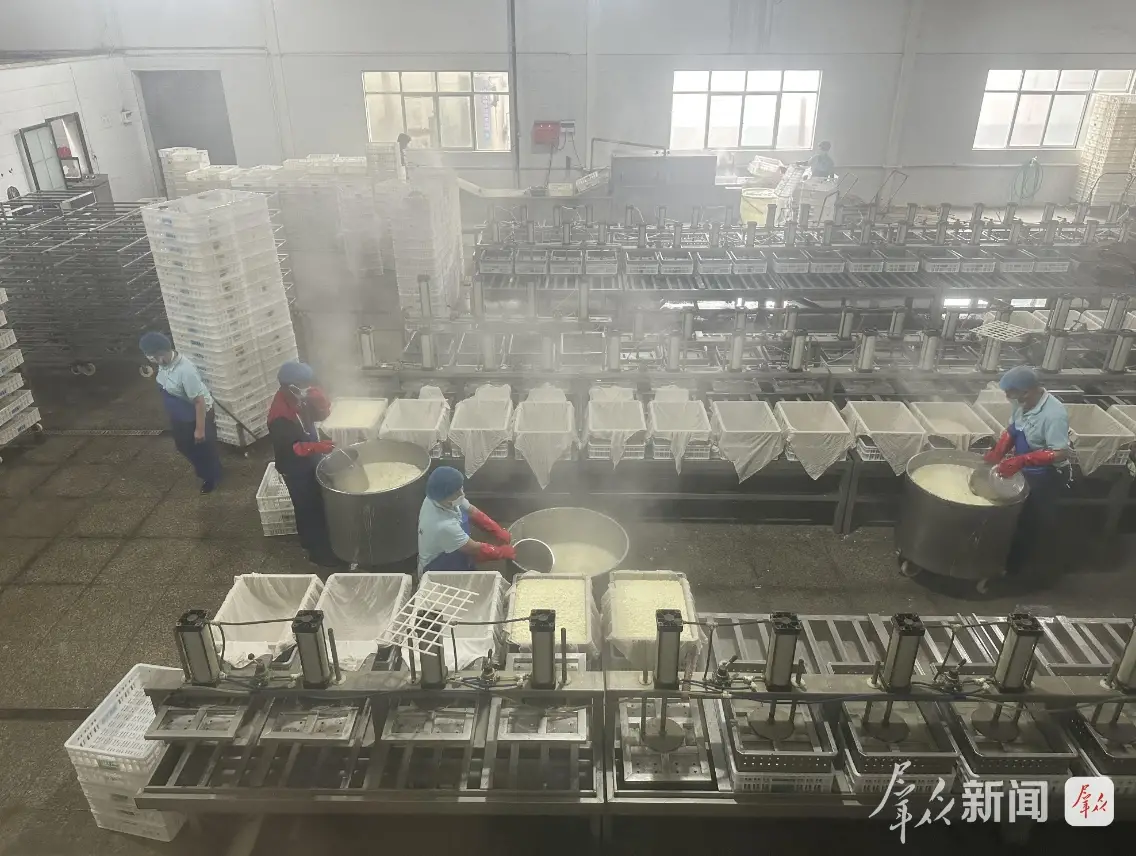 解码关中沃土感知时代脉动｜大荔县畅家村：颜值、产值双在线！