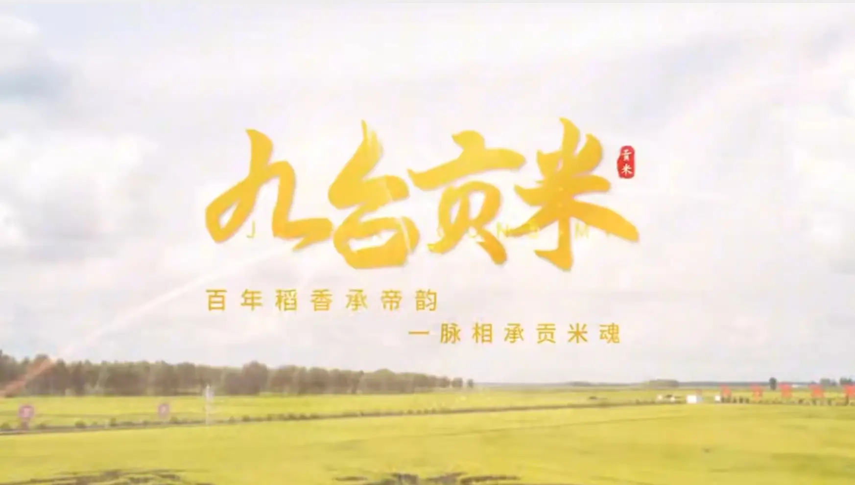 九台贡米：百年稻香承帝韵，一脉相承贡米魂