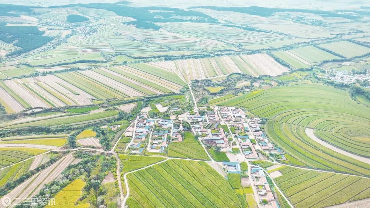 金秋农忙正当时 朝阳大地好“丰”景