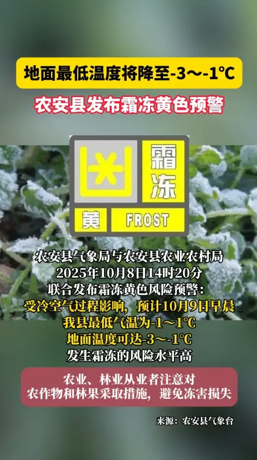 农安县发布霜冻黄色预警：地面最低温度将降至-3～-1℃