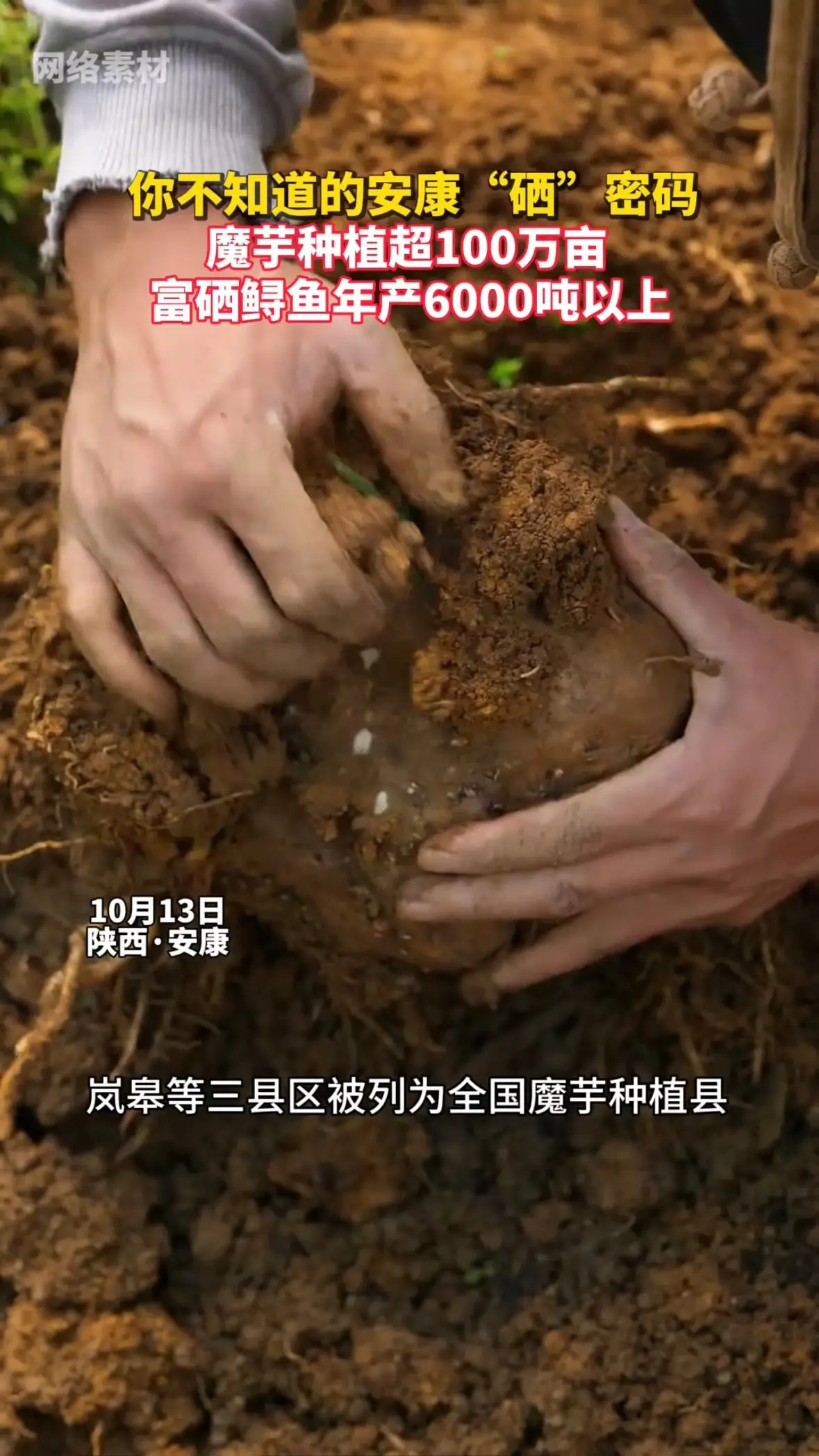 你不知道的安康“硒”密码，魔芋种植超100万亩，富硒鲟鱼年产6000吨以上