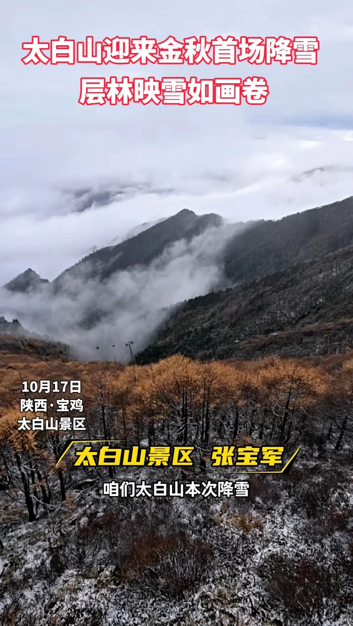 太白山迎来今秋首场降雪，银装素裹与五彩秋林交相辉映