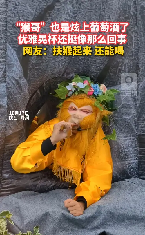 “猴哥”也是炫上葡萄酒了！优雅晃杯还挺像那么回事