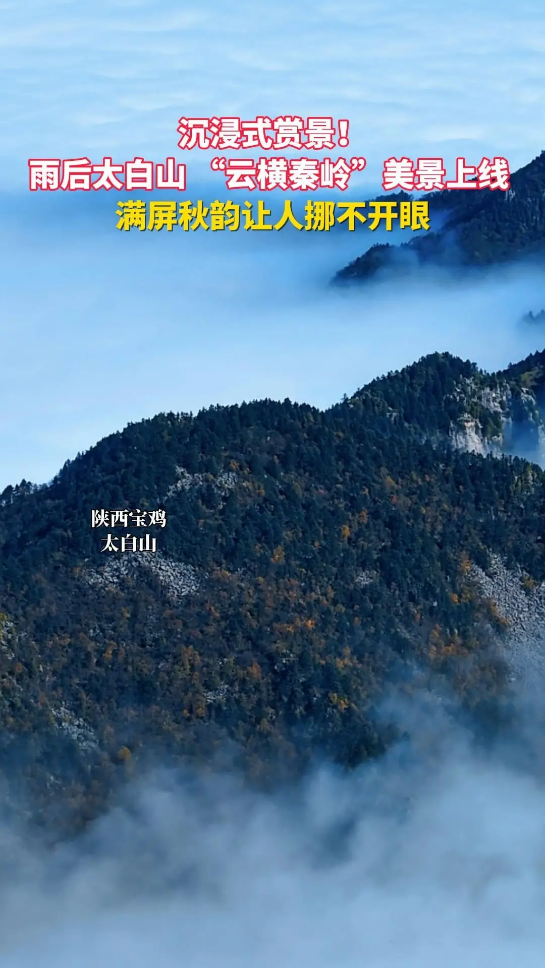 沉浸式赏景！雨后太白山“云横秦岭”奇观上线，满屏秋韵让人挪不开眼