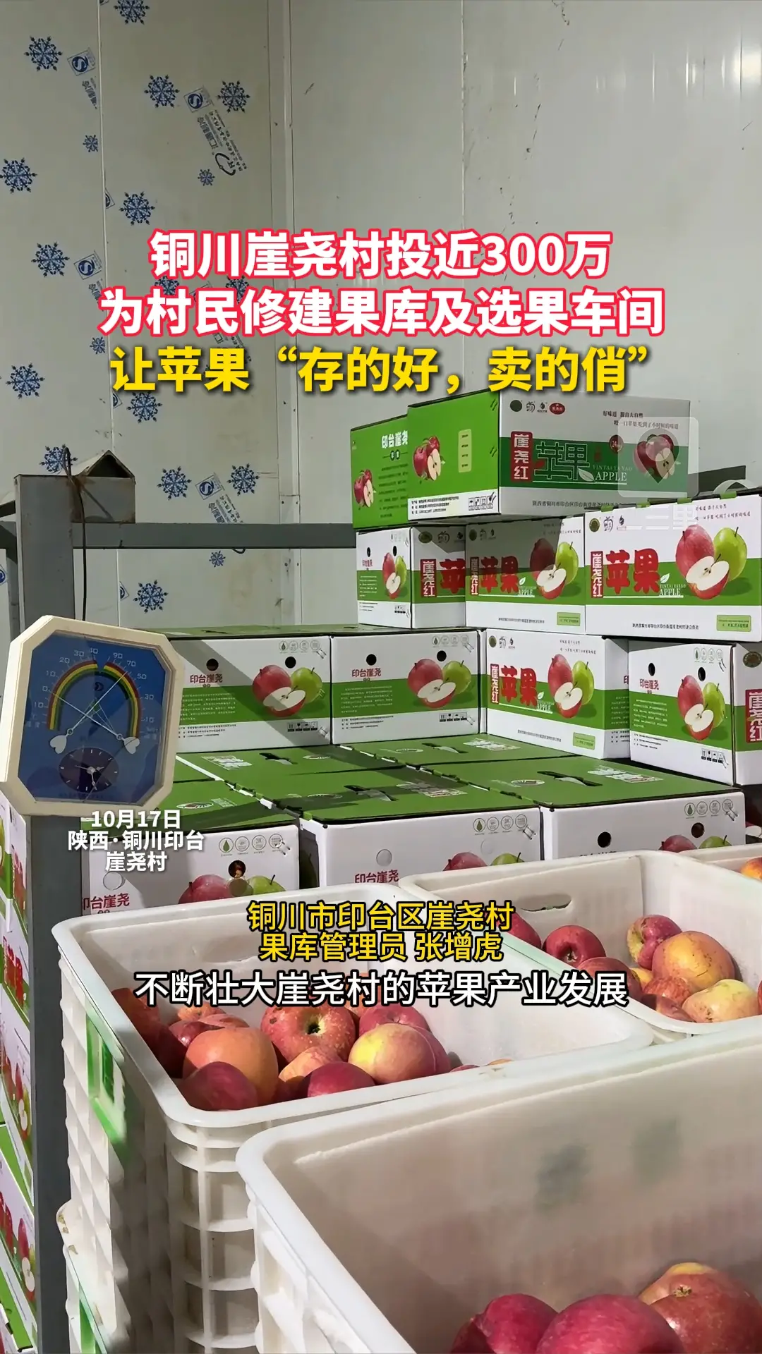 铜川崖尧村投近300万，为村民修建果库及选果车间