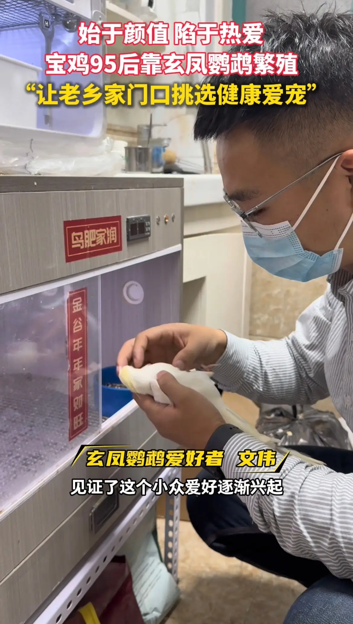 宝鸡95后靠玄凤鹦鹉繁殖，让老乡家门口挑选健康爱宠