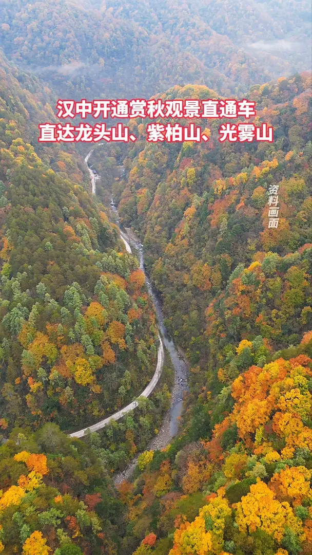 汉中开通赏秋观景直通车，直达龙头山、紫柏山、光雾山