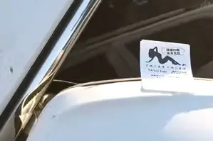辽宁朝阳：又有2人对别人车辆做这事被抓......