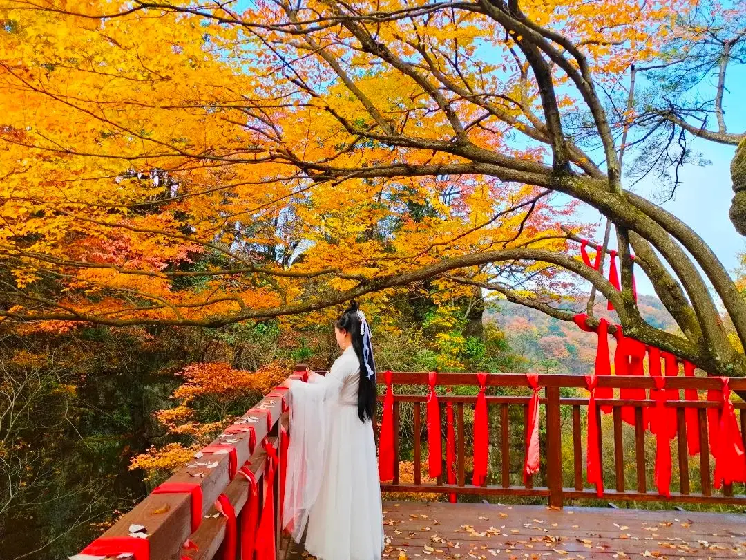 秋日浓度播报！汉中绝美红叶打卡点位看这里